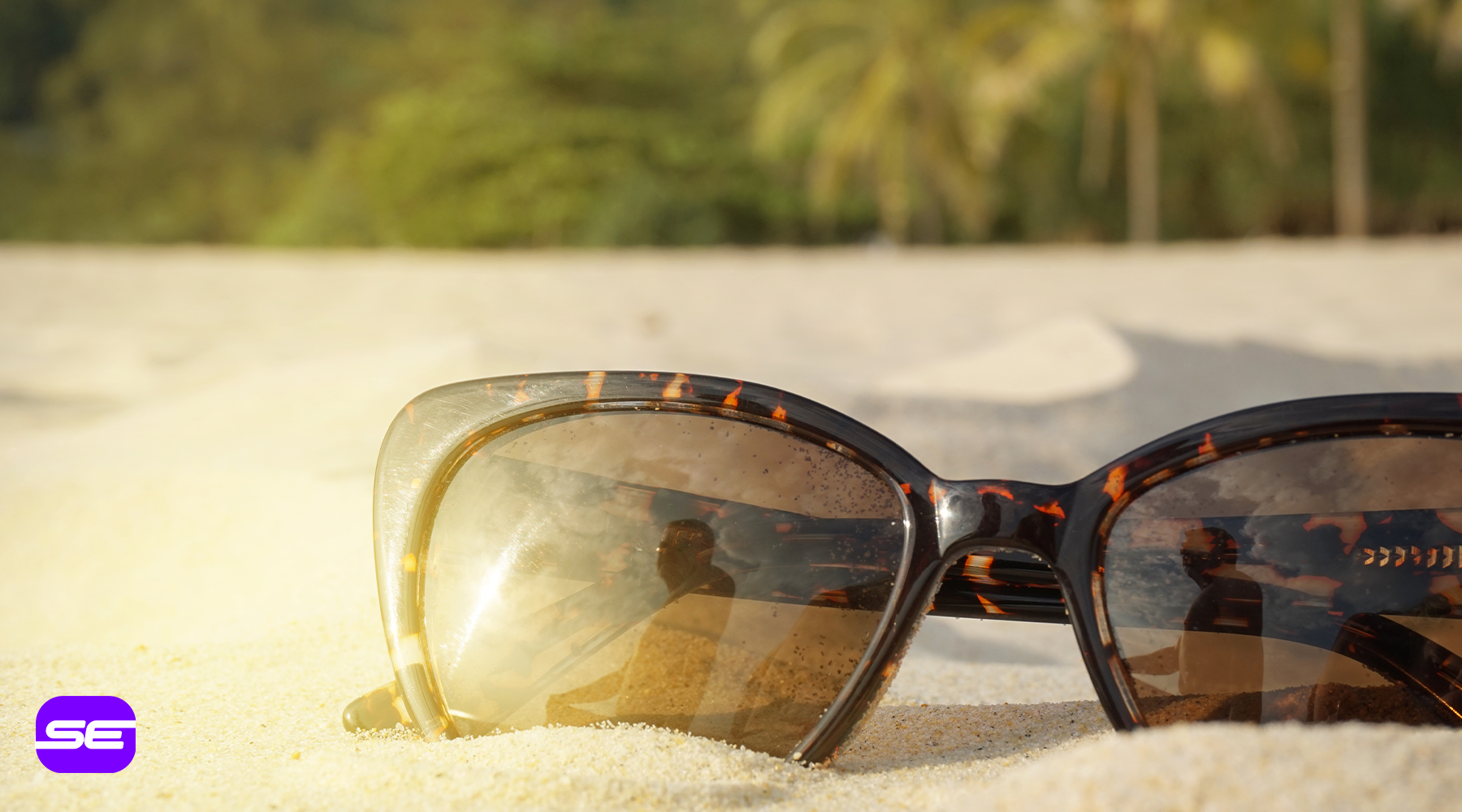 Eco-Friendly Eyewear: Top Sustainable Sunglasses for the Conscious Shopper