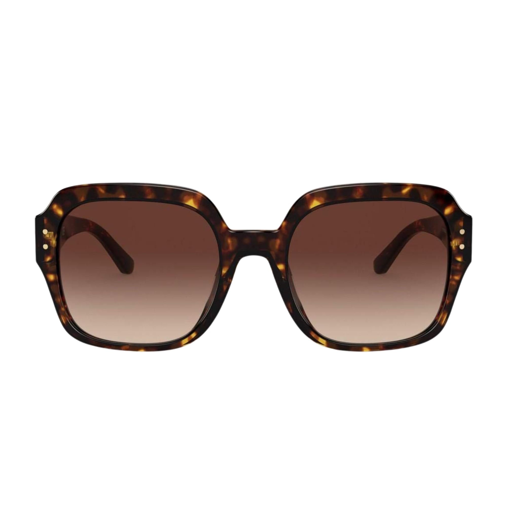 DARK TORTOISE | LIGHT DARK BRONZE GRADIENT