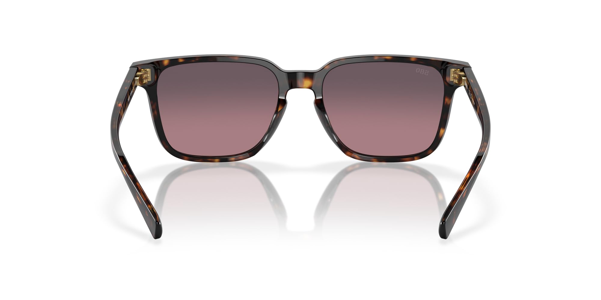 TORTOISE | ROSE GRADIENT