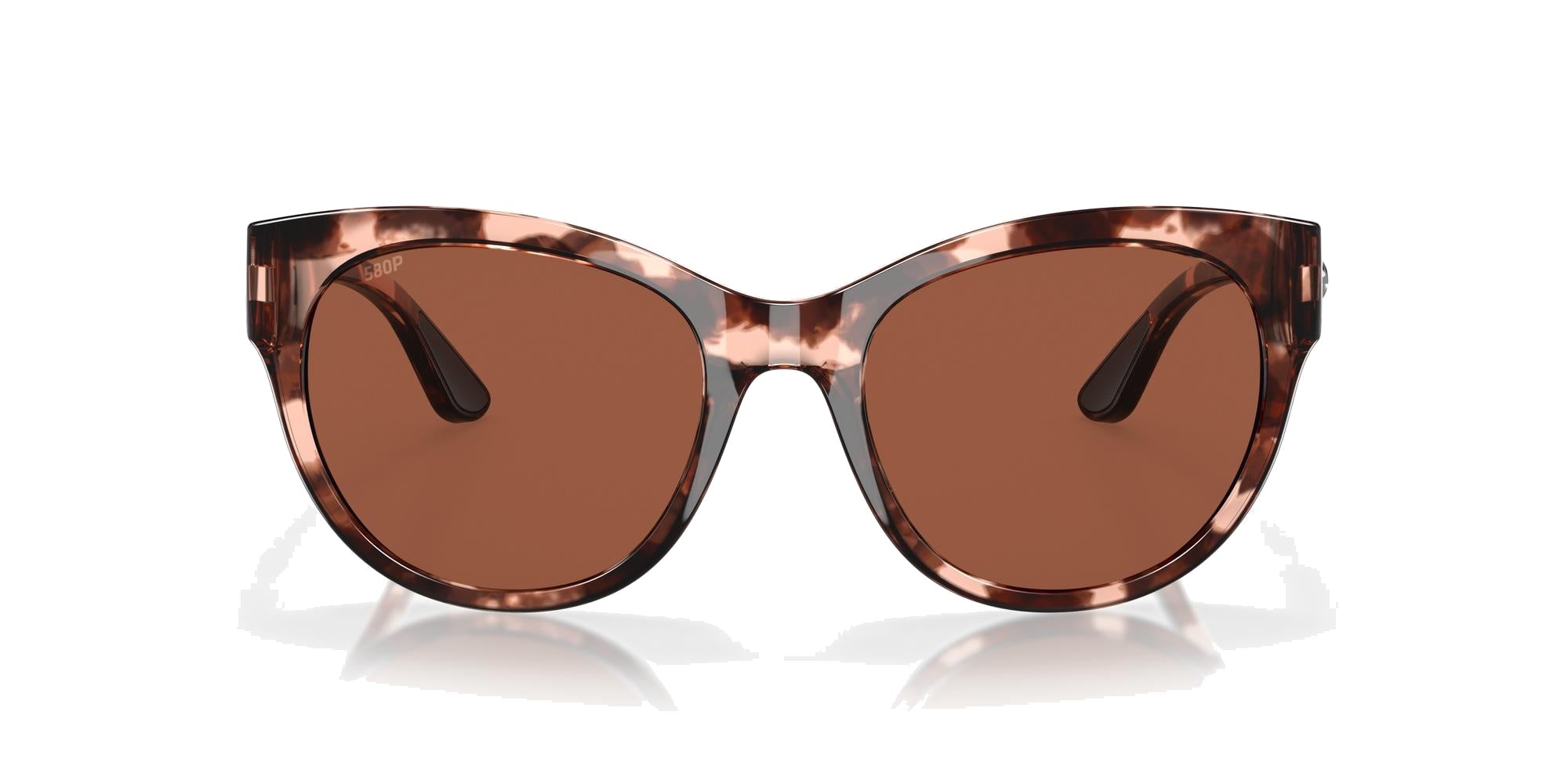 SHINY COBALT TORTOISE | COPPER