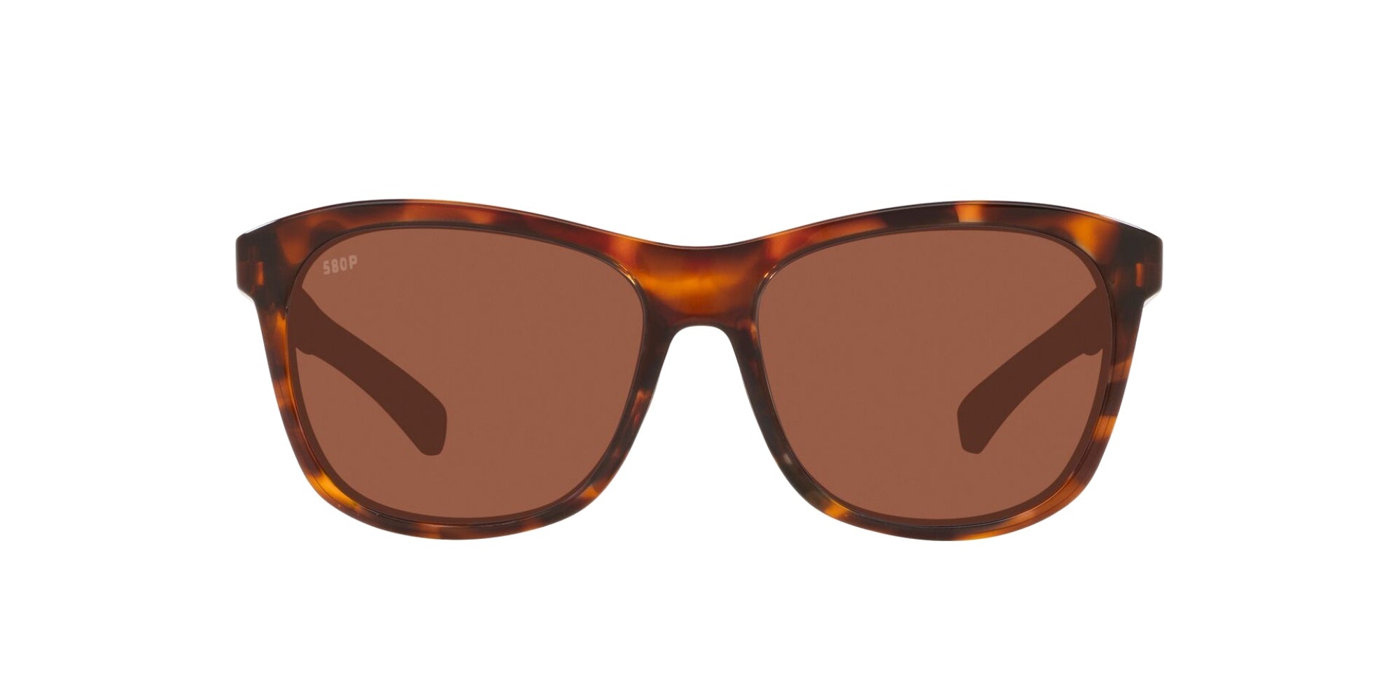 SHINY TORTOISE | COPPER