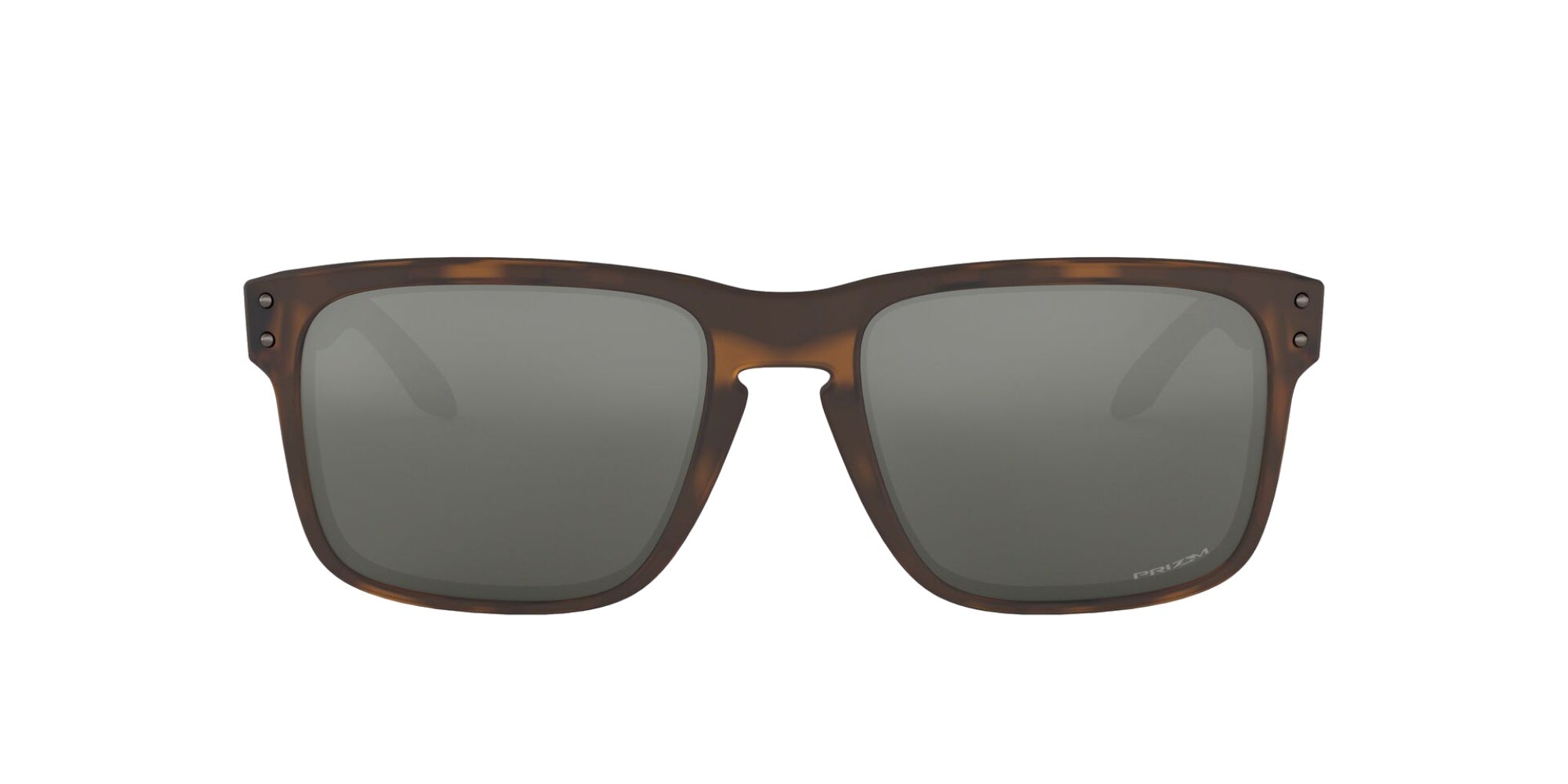 MATTE BRONZE TORTOISE | PRIZM BLACK