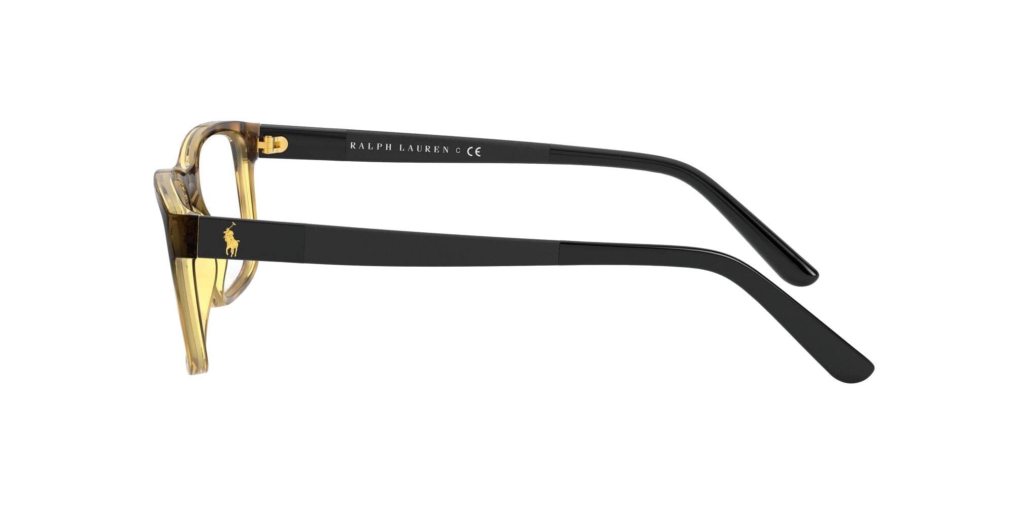 SHINY DARK HAVANA | TRANSLUCENT