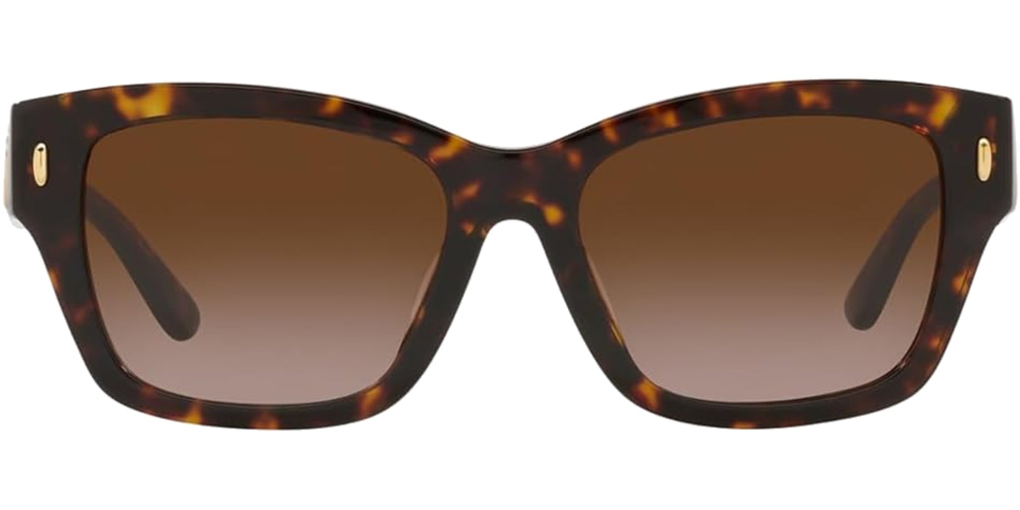 DARK TORTOISE | BRONZE GRADIENT