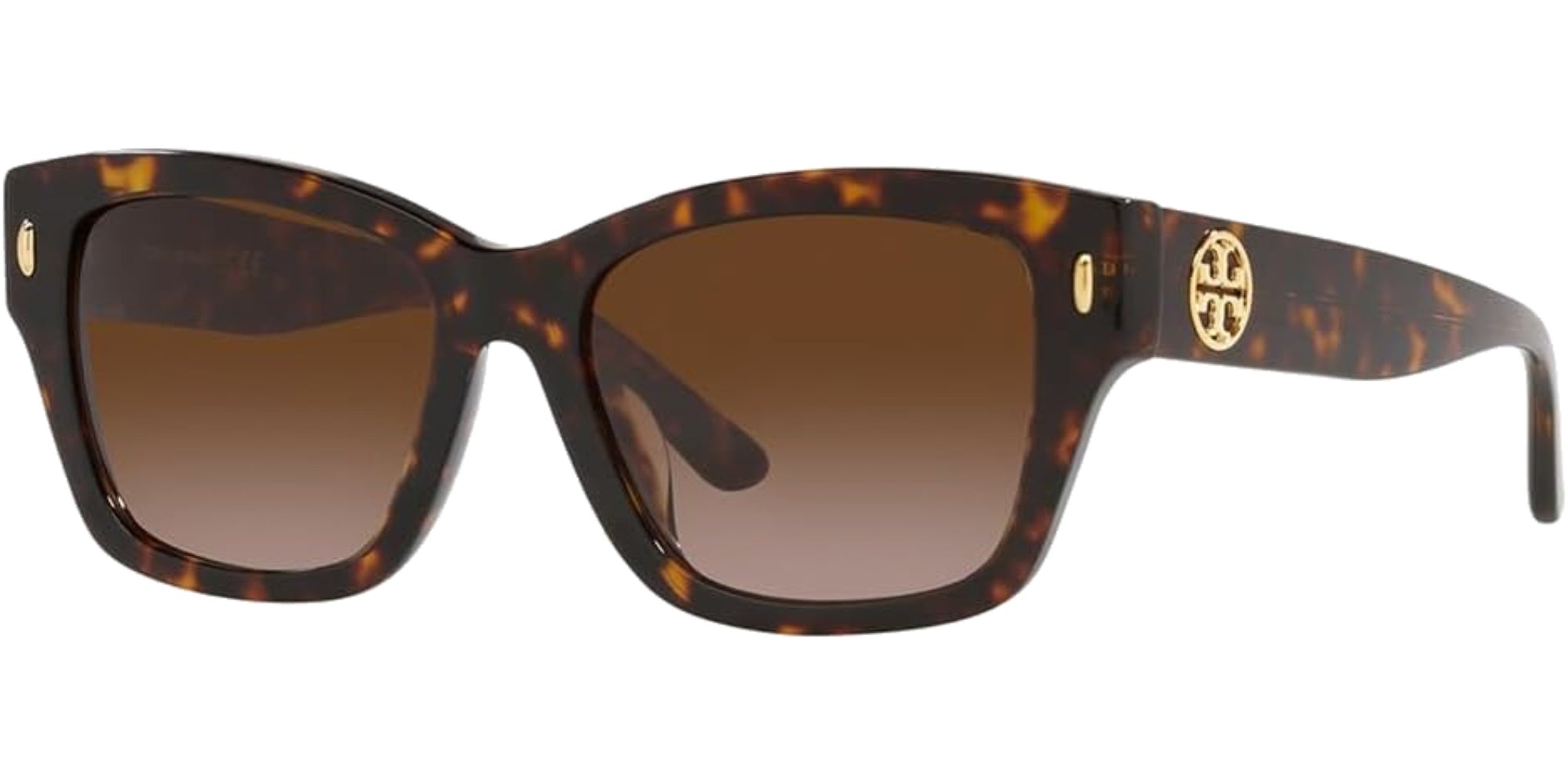 DARK TORTOISE | BRONZE GRADIENT