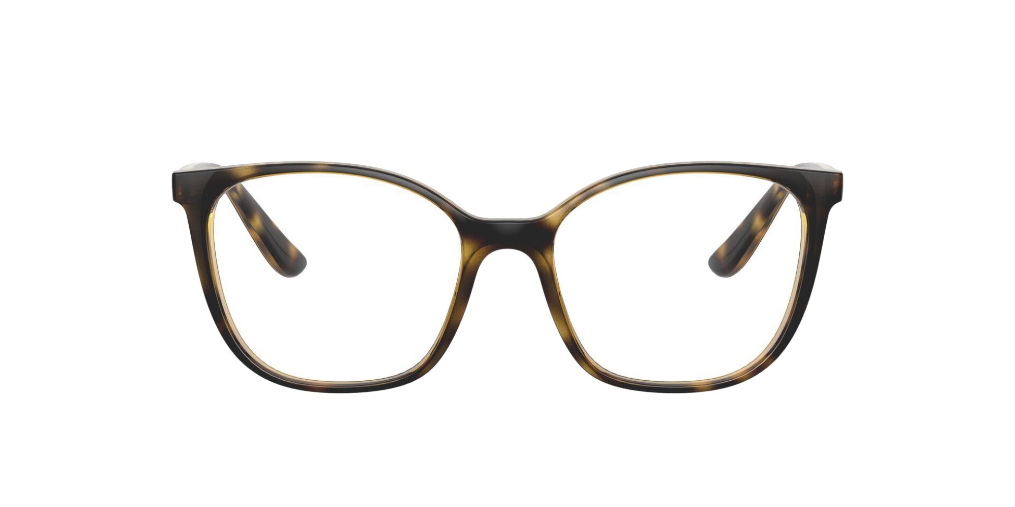 DARK HAVANA | TRANSLUCENT