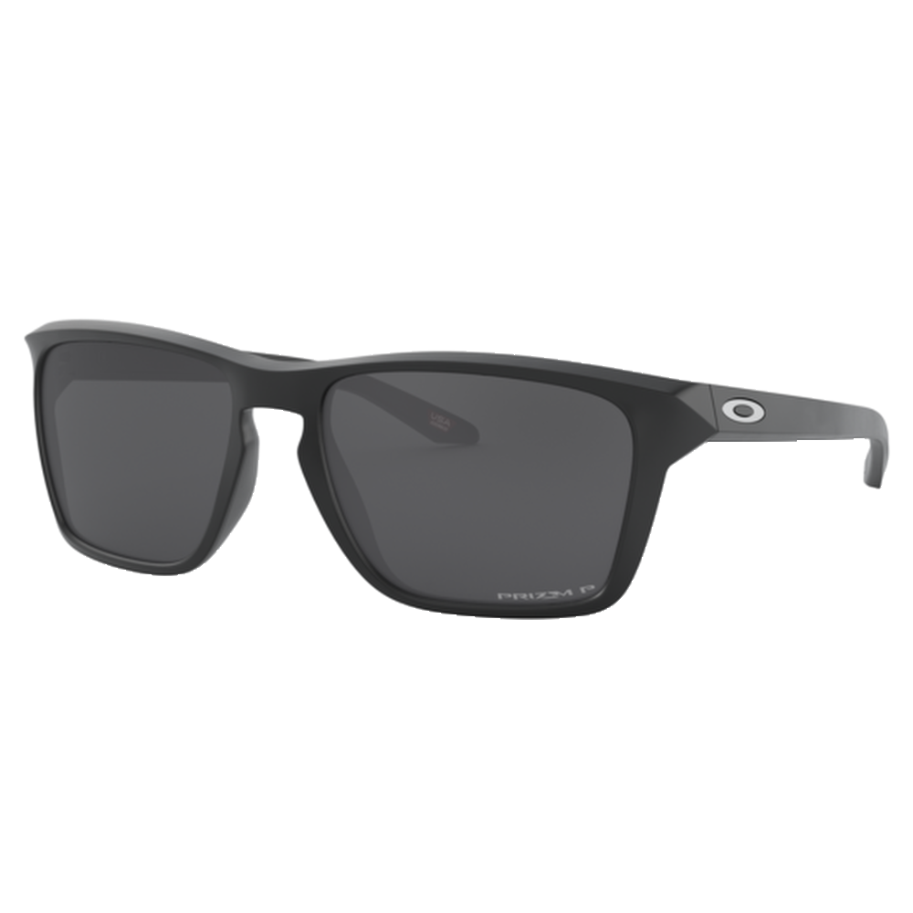 MATTE BLACK | PRIZM BLACK POLARIZED