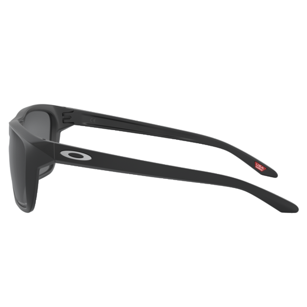 MATTE BLACK | PRIZM BLACK POLARIZED