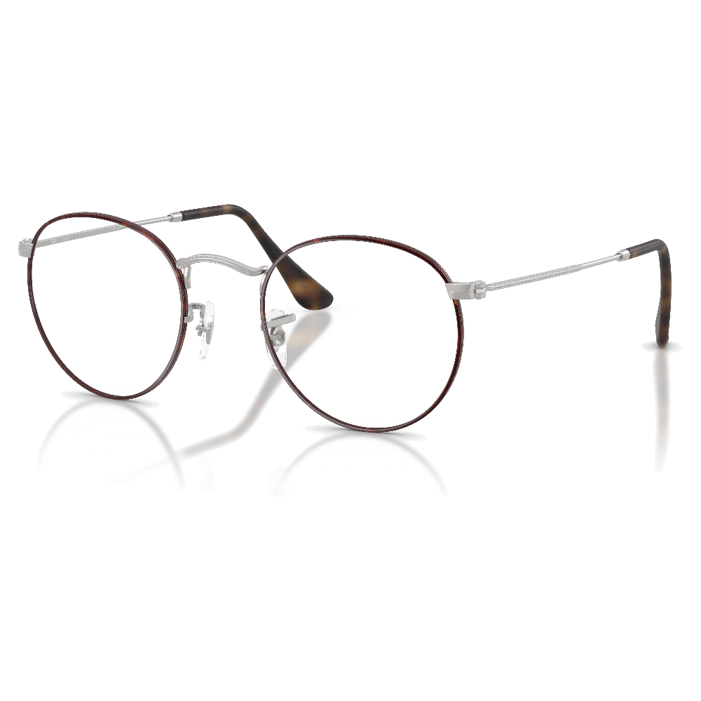 MATTE HAVANA ON MATTE SILVER | DEMO LENS