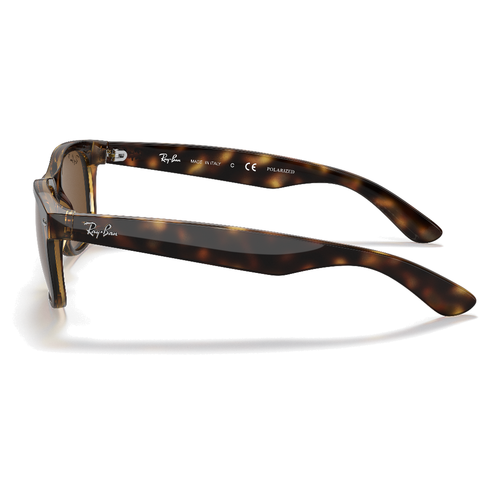 TORTOISE | B-15 BROWN