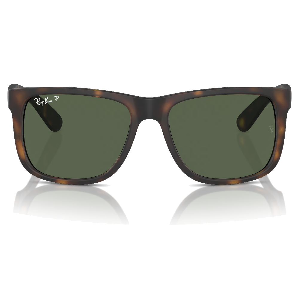 RUBBER HAVANA | DARK GREEN POLARIZED