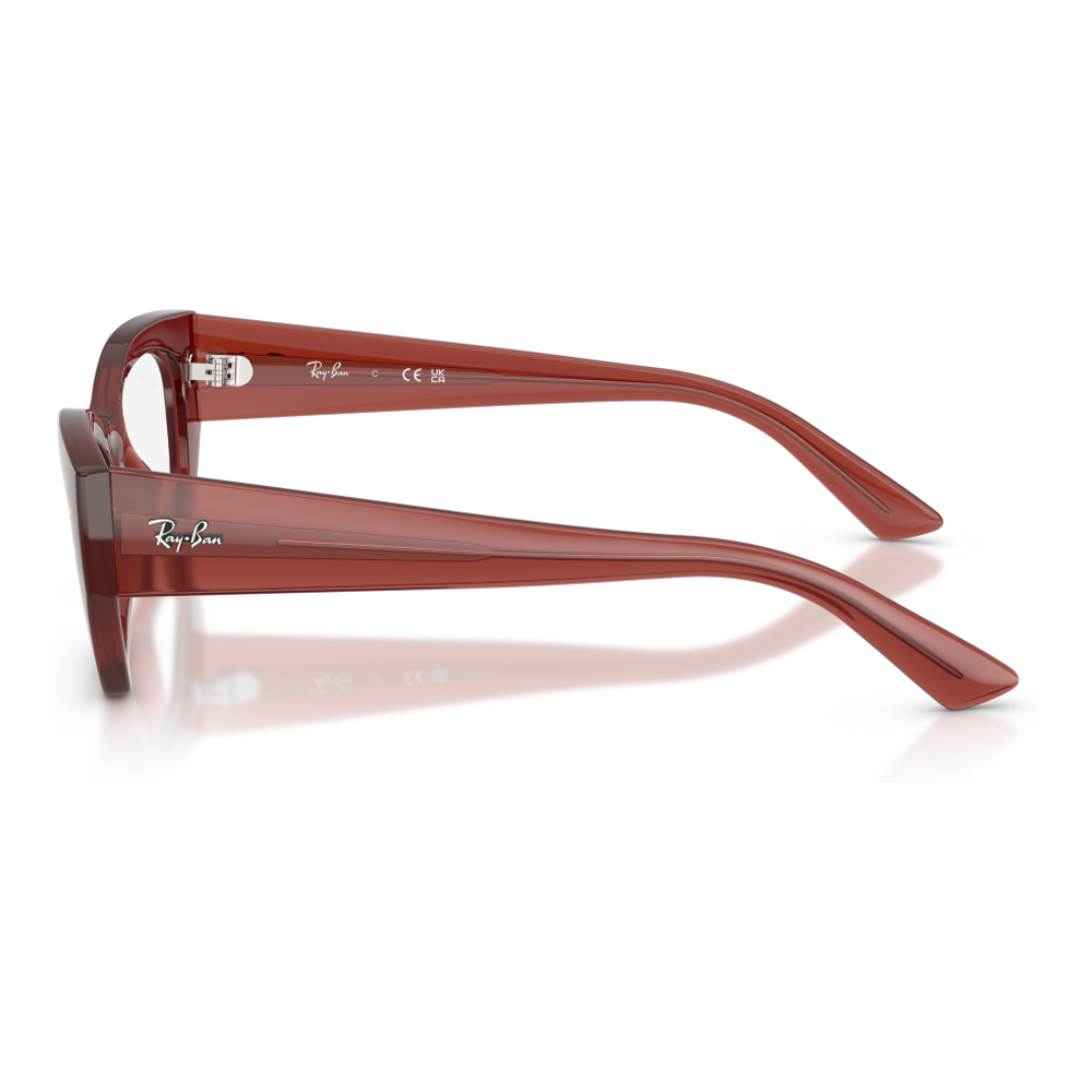 SHINY RUSTY BROWN | DEMO LENS