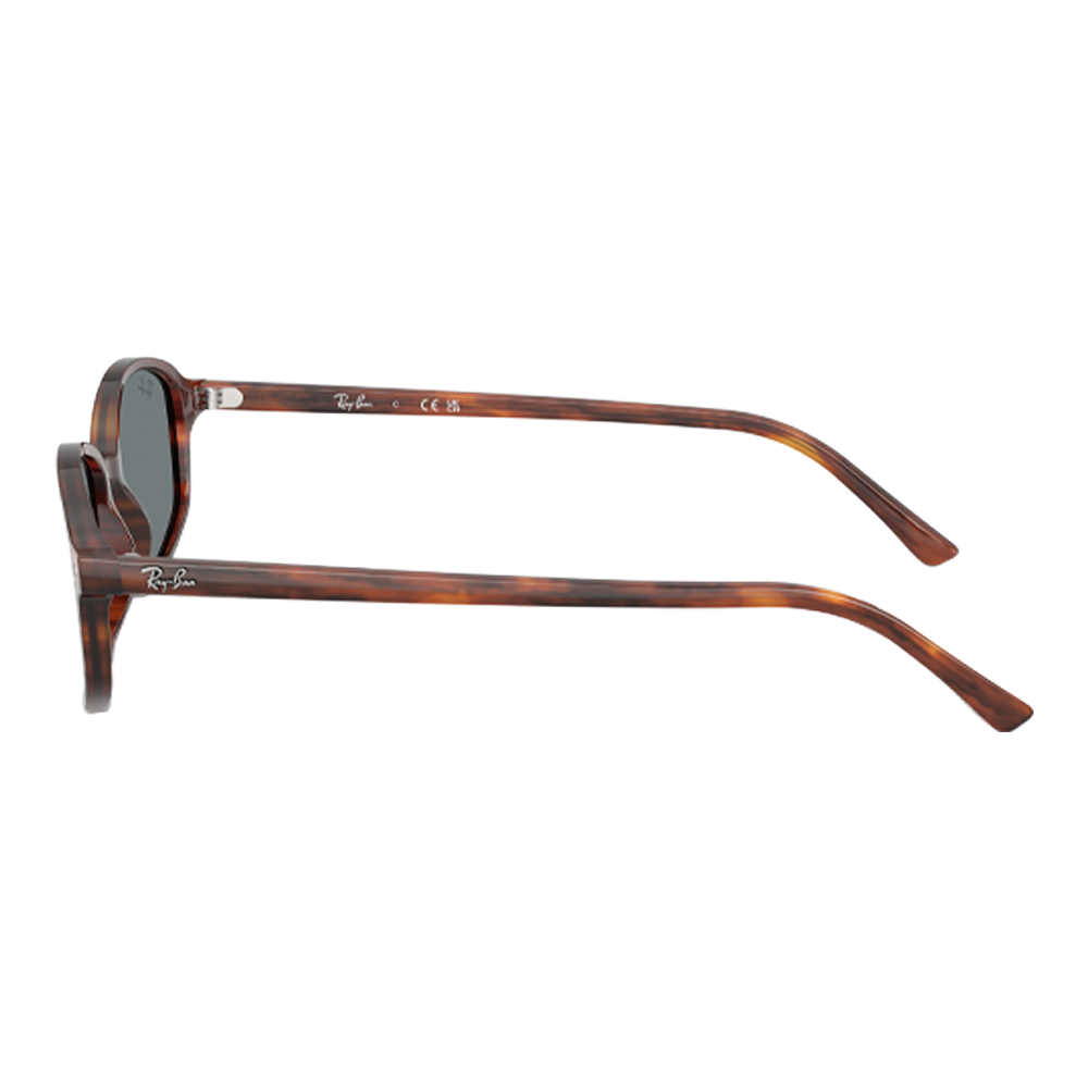 STRIPED HAVANA | BLUE