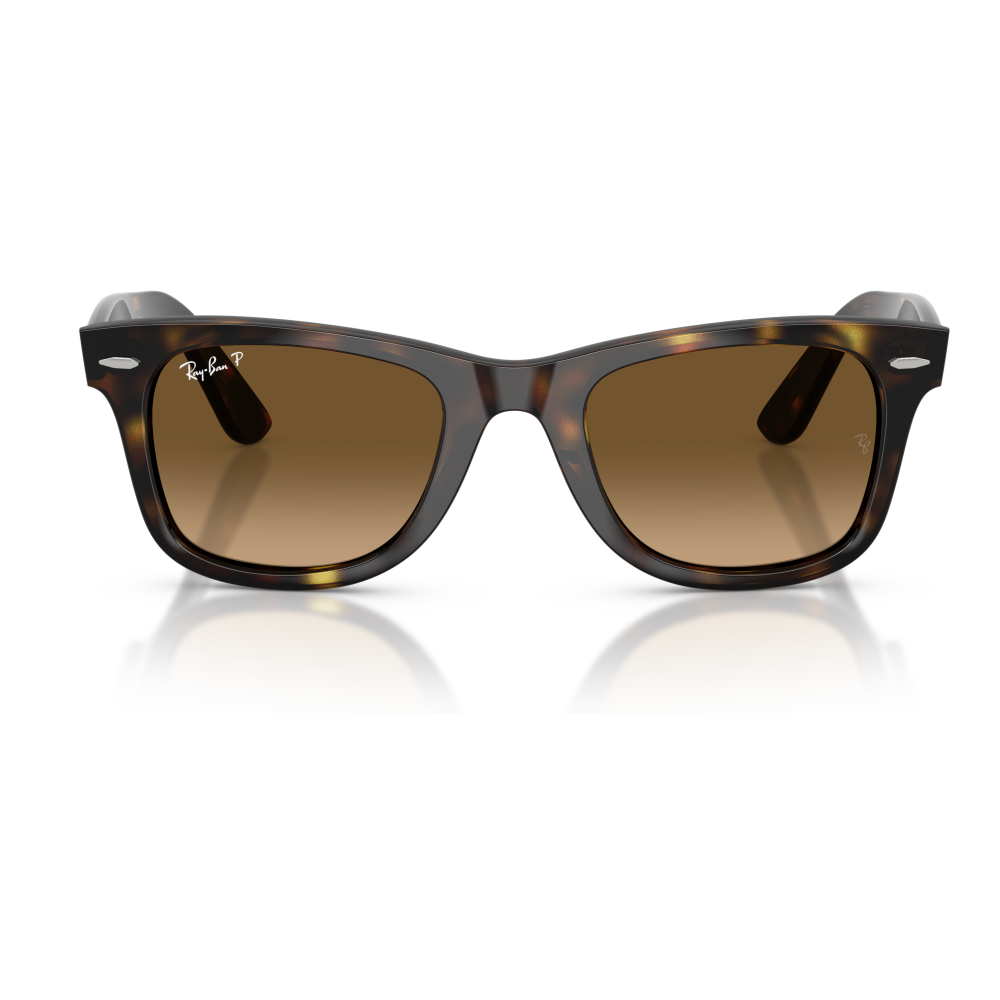 HAVANA | POLARIZED BROWN GRADIENT