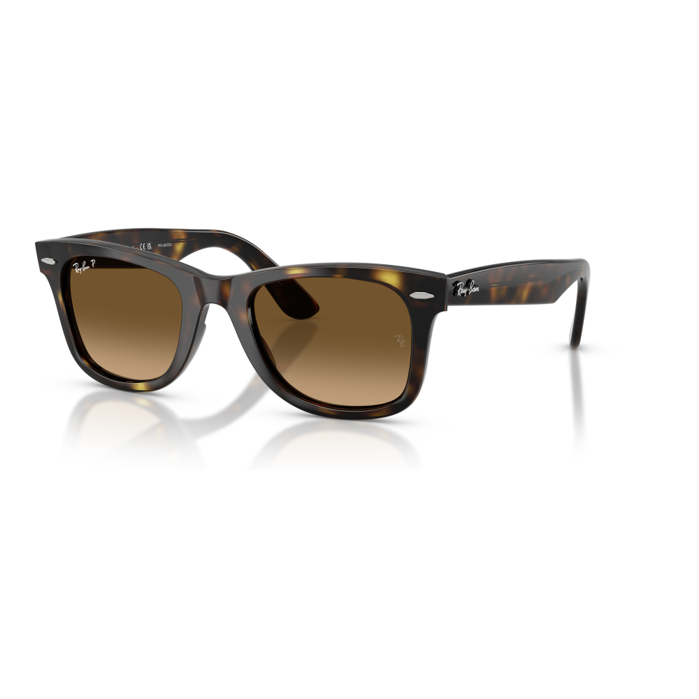 HAVANA | POLARIZED BROWN GRADIENT