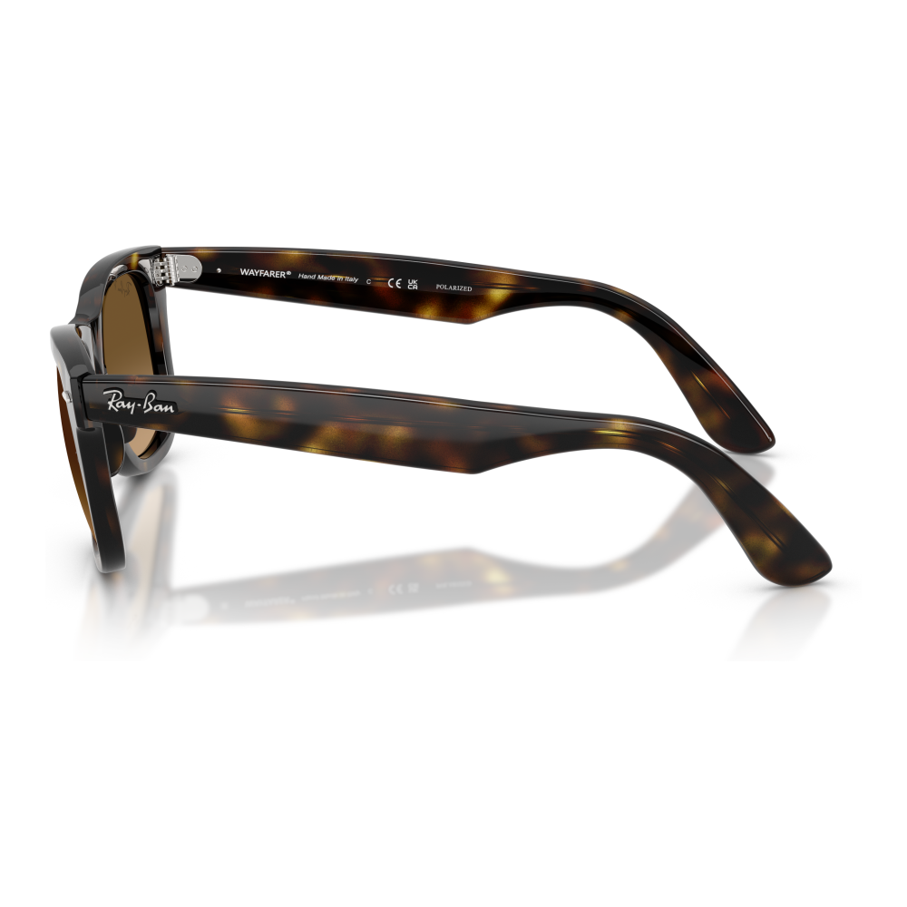 HAVANA | POLARIZED BROWN GRADIENT