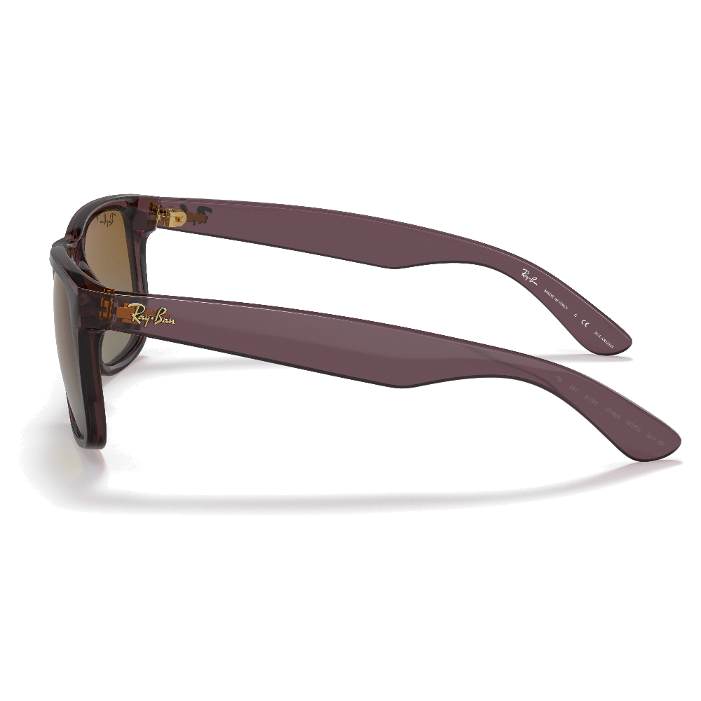 TRANSPARENT DARK BROWN | GRADIENT BROWN POLARIZED