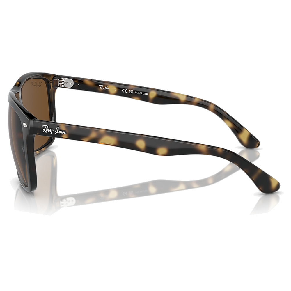 HAVANA | POLARIZED BROWN