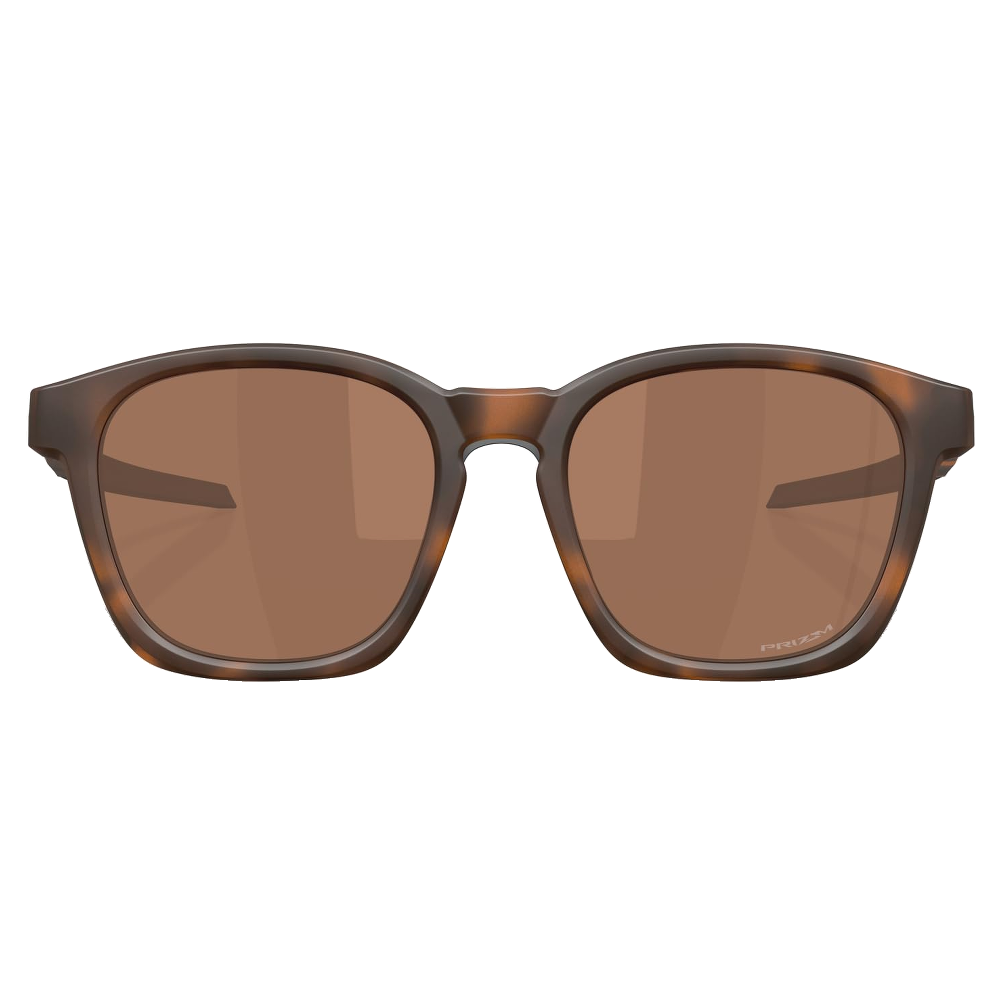 MATTE BROWN TORTOISE | PRIZM TUNGSTEN