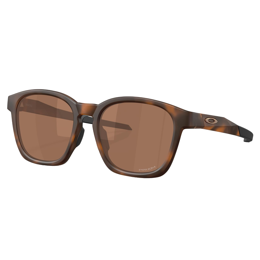 MATTE BROWN TORTOISE | PRIZM TUNGSTEN
