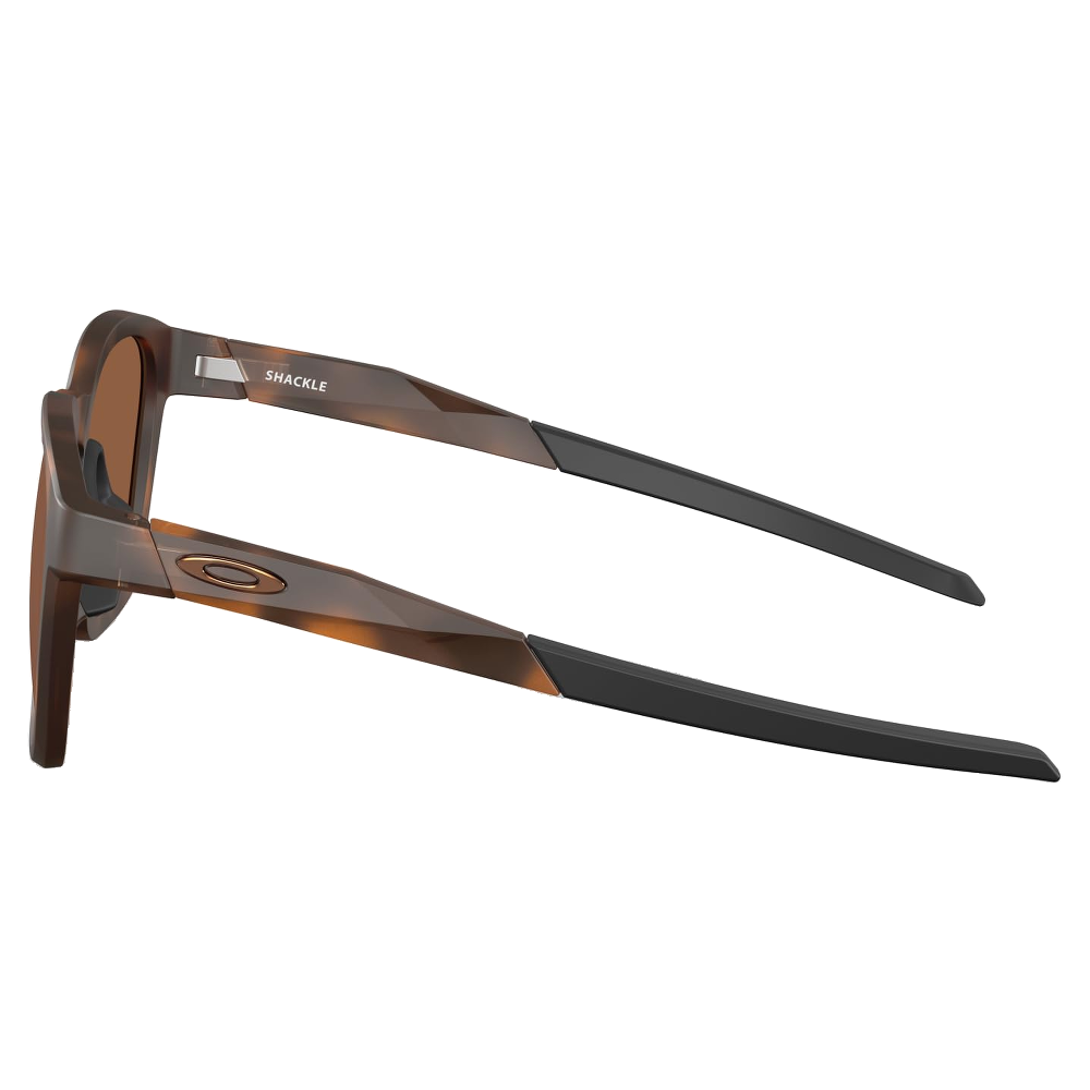 MATTE BROWN TORTOISE | PRIZM TUNGSTEN