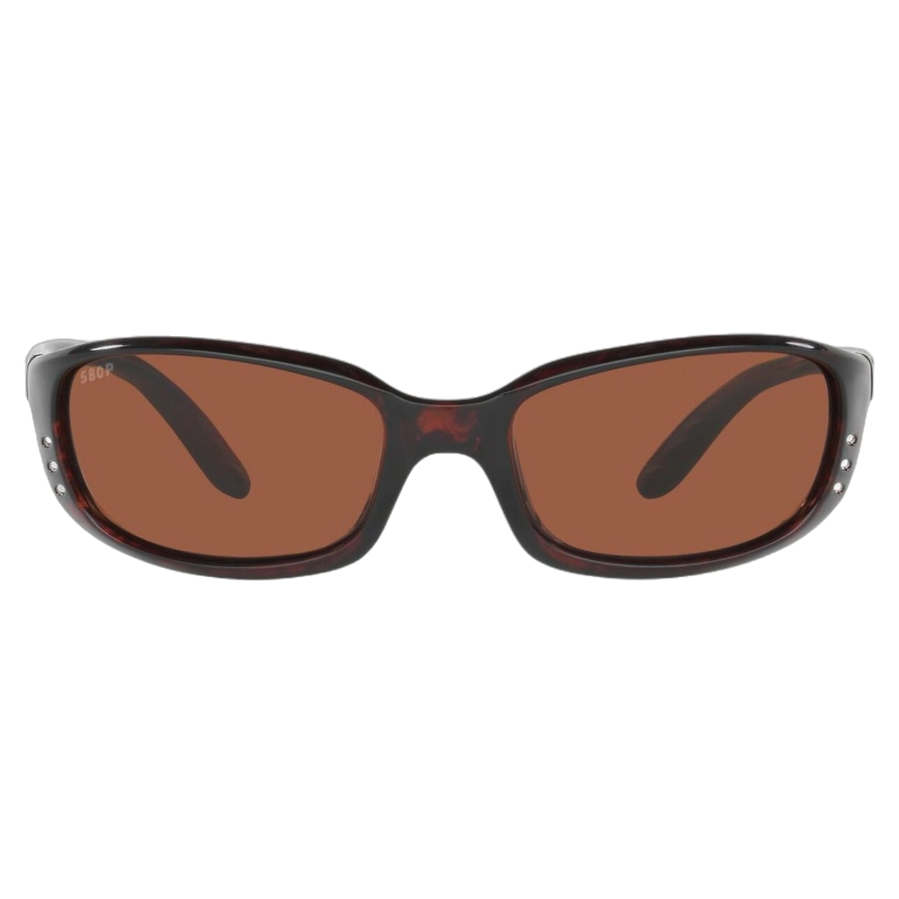 TORTOISE | COPPER