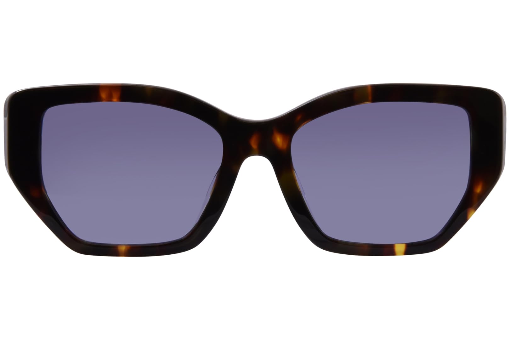 BRONZE TORTOISE | DARK BLUE VIOLET MIRROR