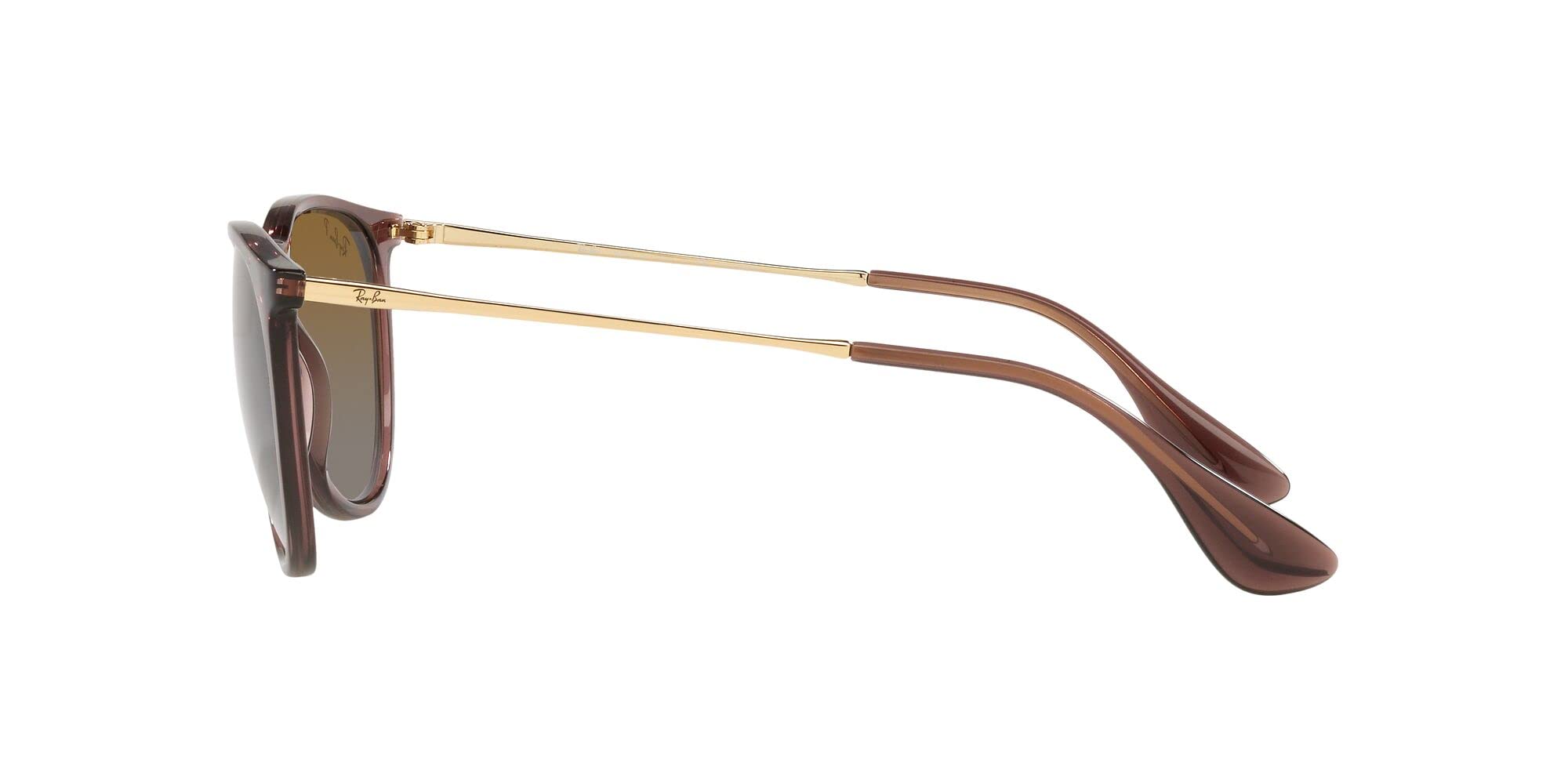 TRANSLUCENT DARK BRONZE | BRONZE GRADIENT POLAR