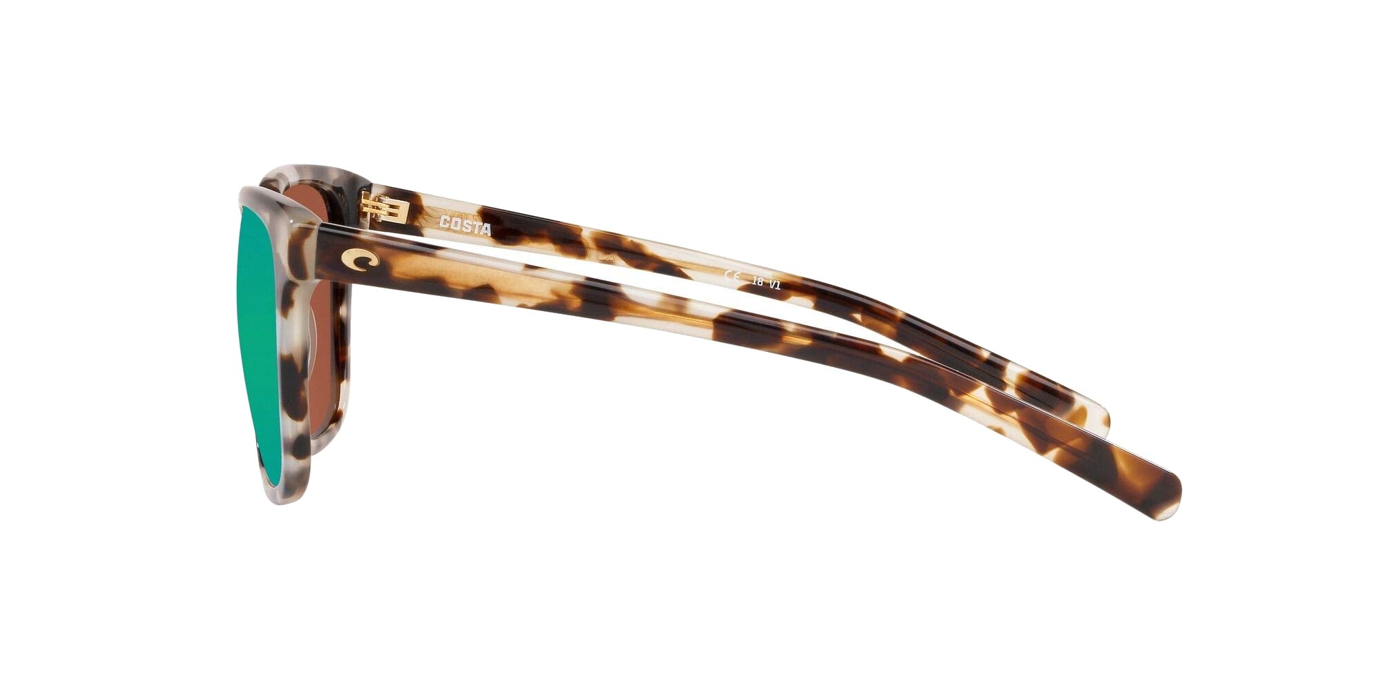 SHINY TIGER COWRIE | GREEN MIRROR