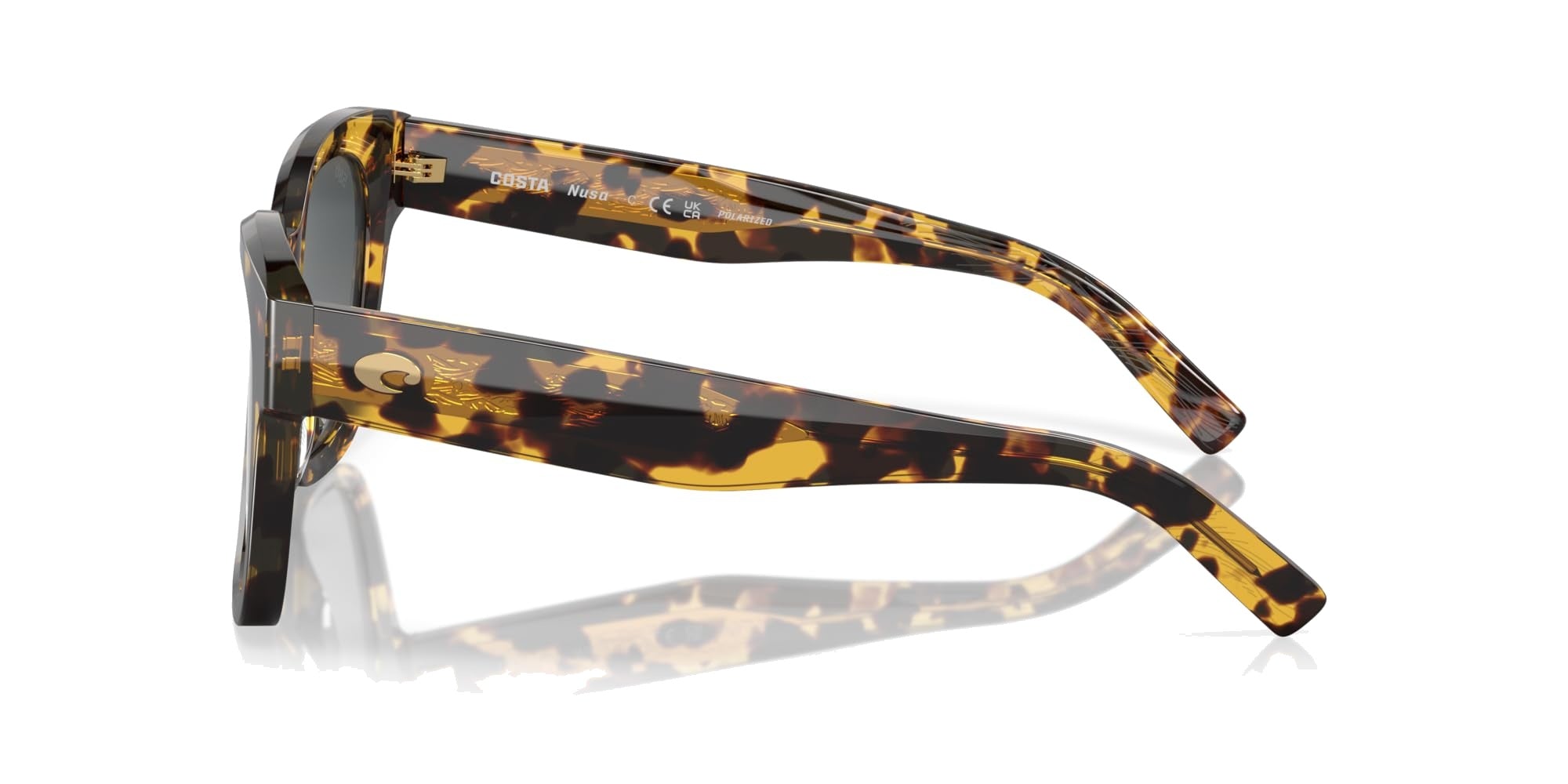 TORTOISE | GRAY GRADIENT