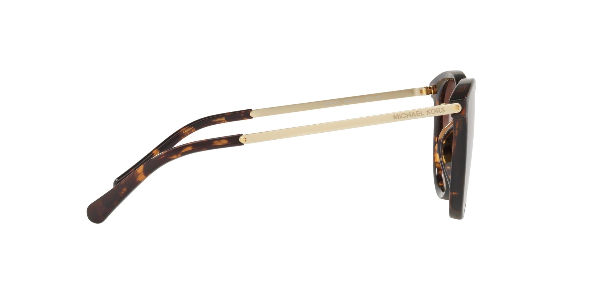 DARK TORTOISE | SMOKE GRADIENT