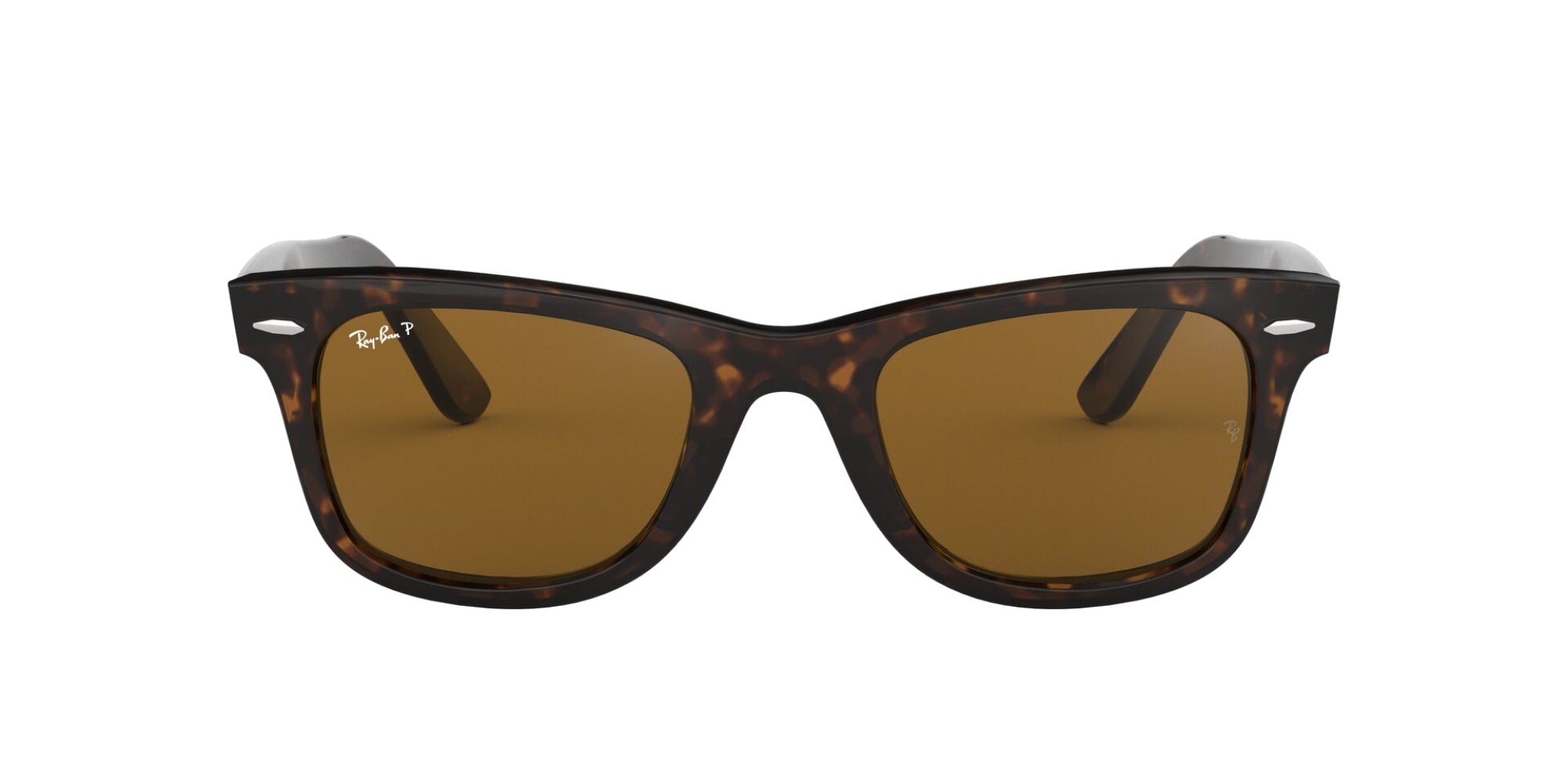 (902/57) TORTOISE | BRONZE POLISHED