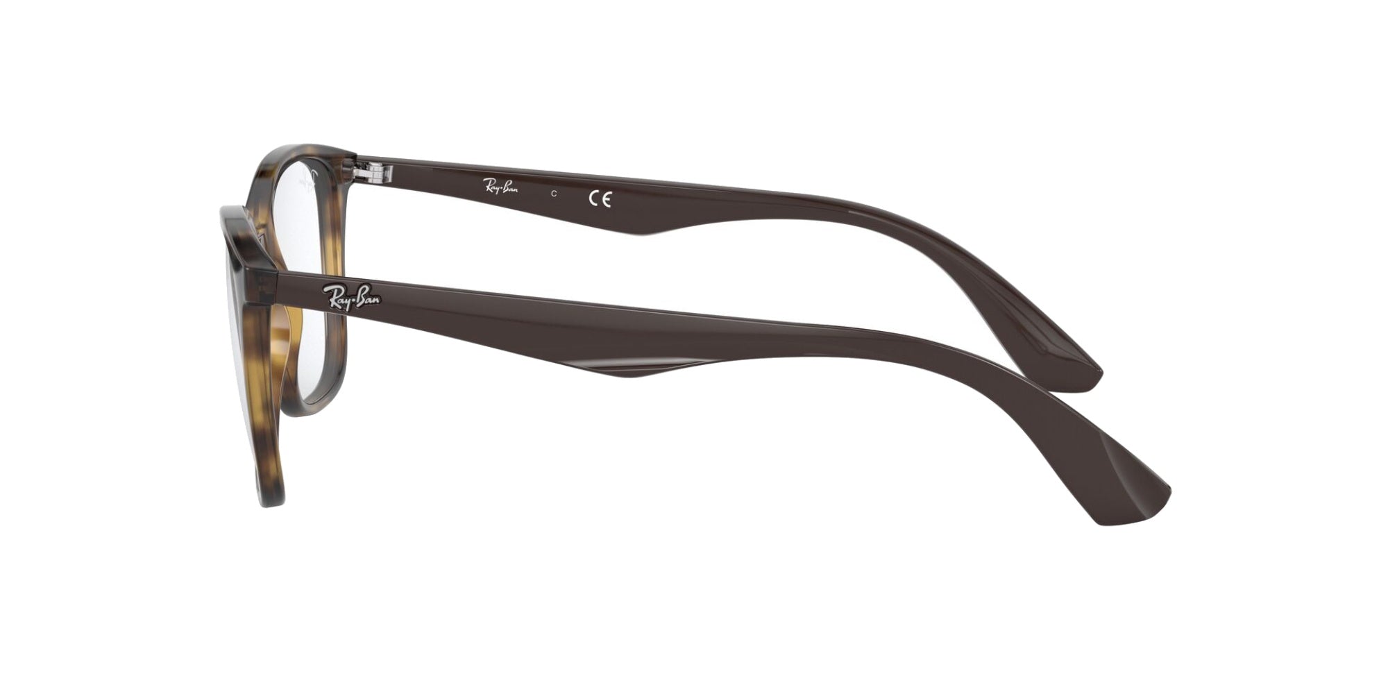 HAVANA | TRANSLUCENT LENS