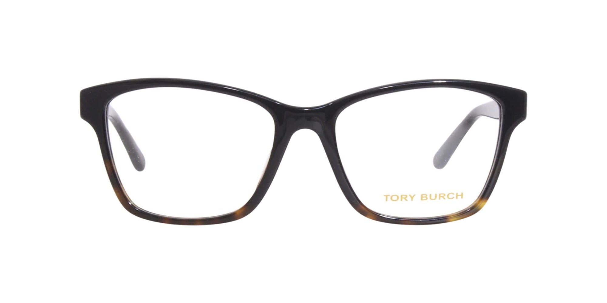 BLACK TORTOISE | TRANSLUCENT