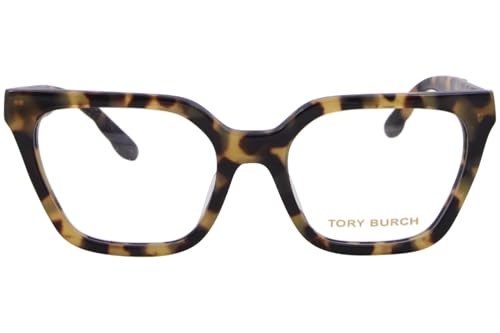 TOYKO TORTOISE | TRANSLUCENT