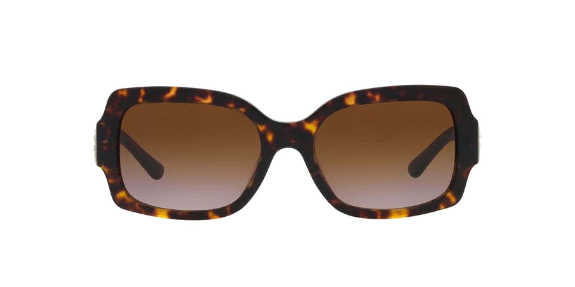 DARK TORTOISE | BRONZE GRADIENT