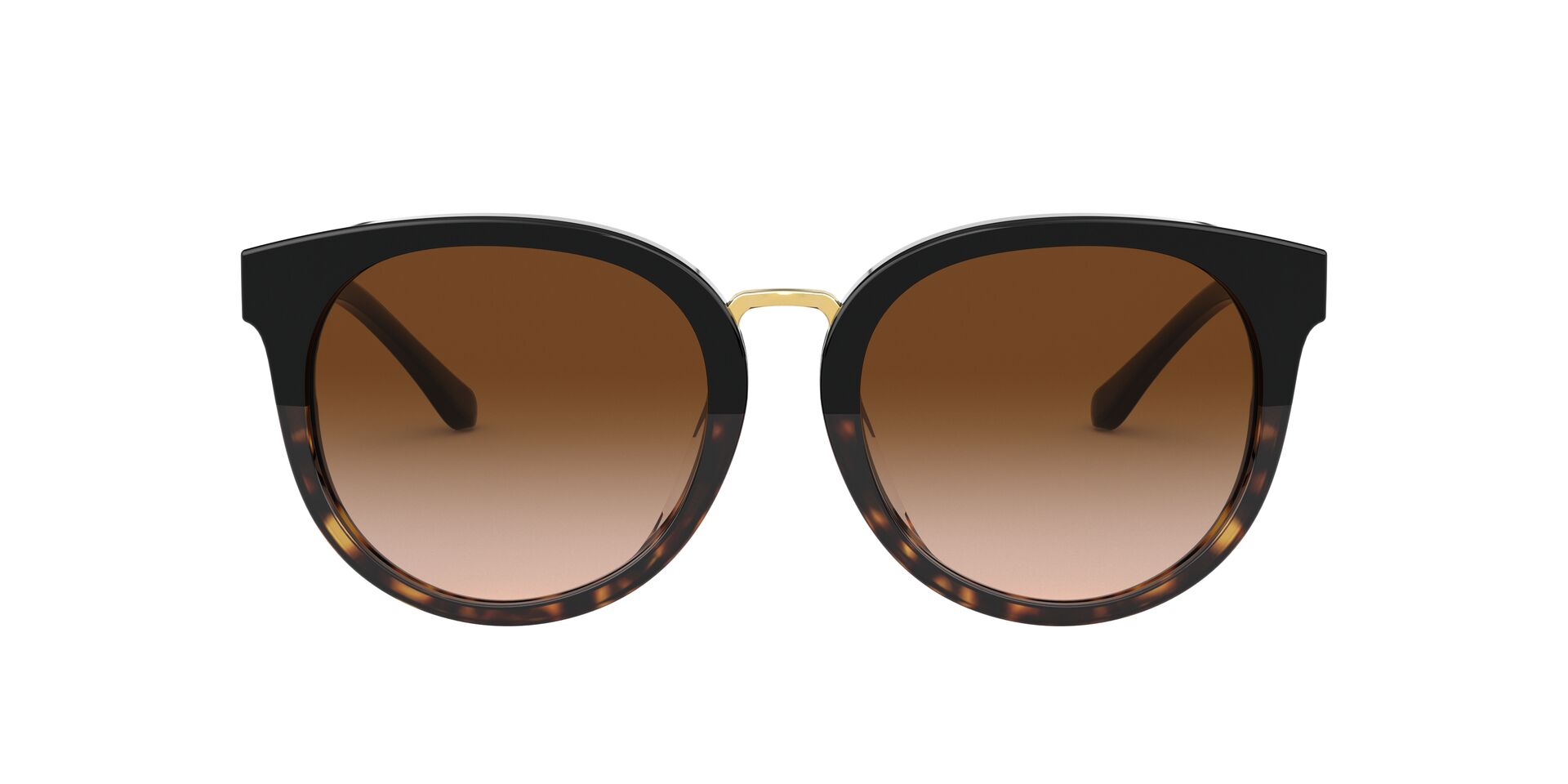 BLACK TORTOISE | SMOKE GRADIENT