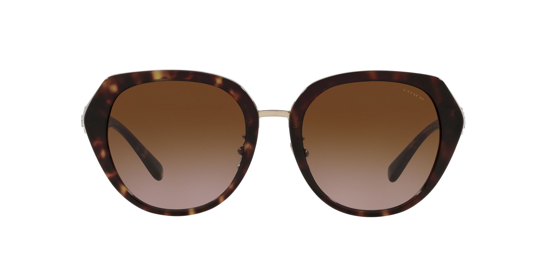 HC8331 COACH Sunglasses