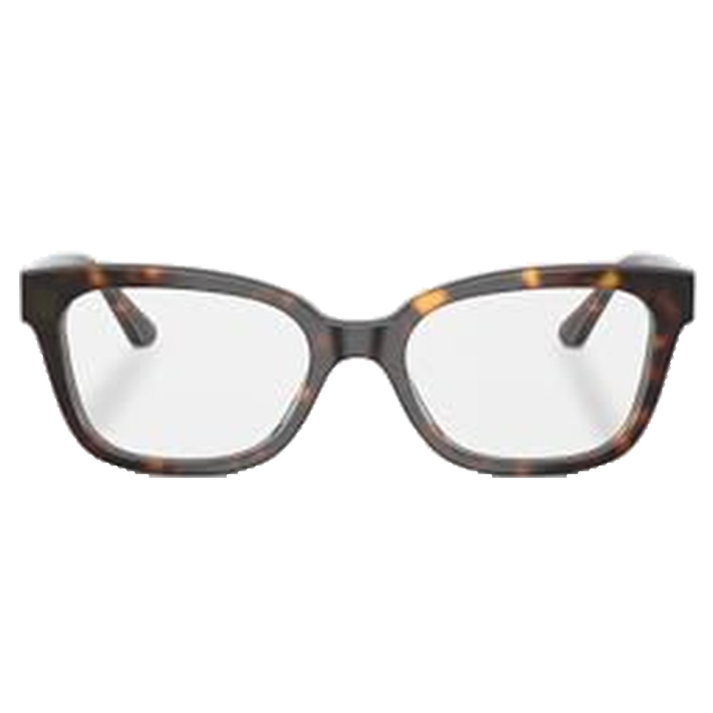 DARK TORTOISE | DEMO LENS