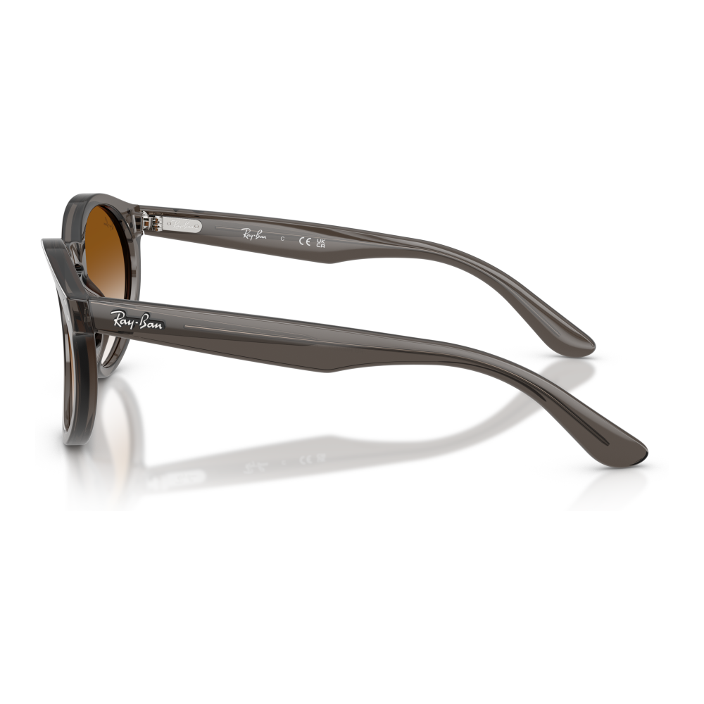 TRANSPARENT DARK GREY | CLEAR GRADIENT BROWN
