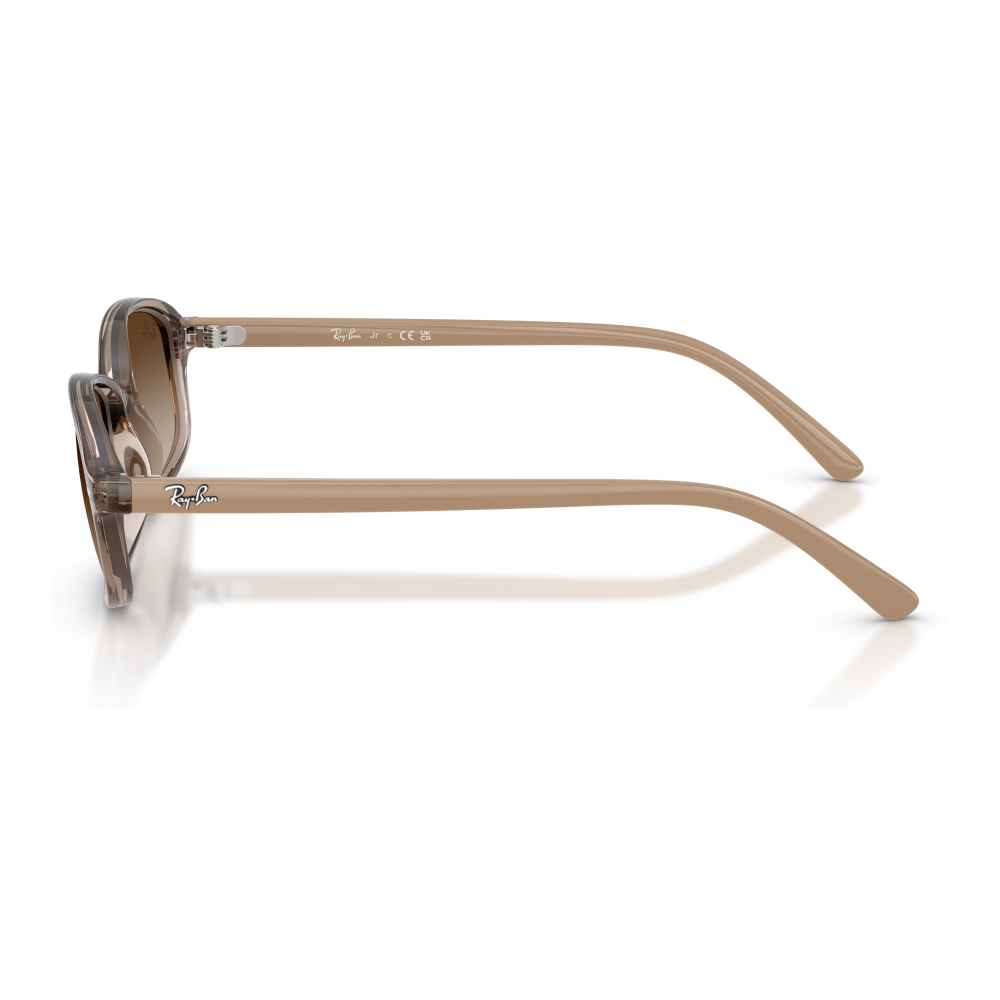 TRANSPARENT BEIGE | GRADIENT BROWN