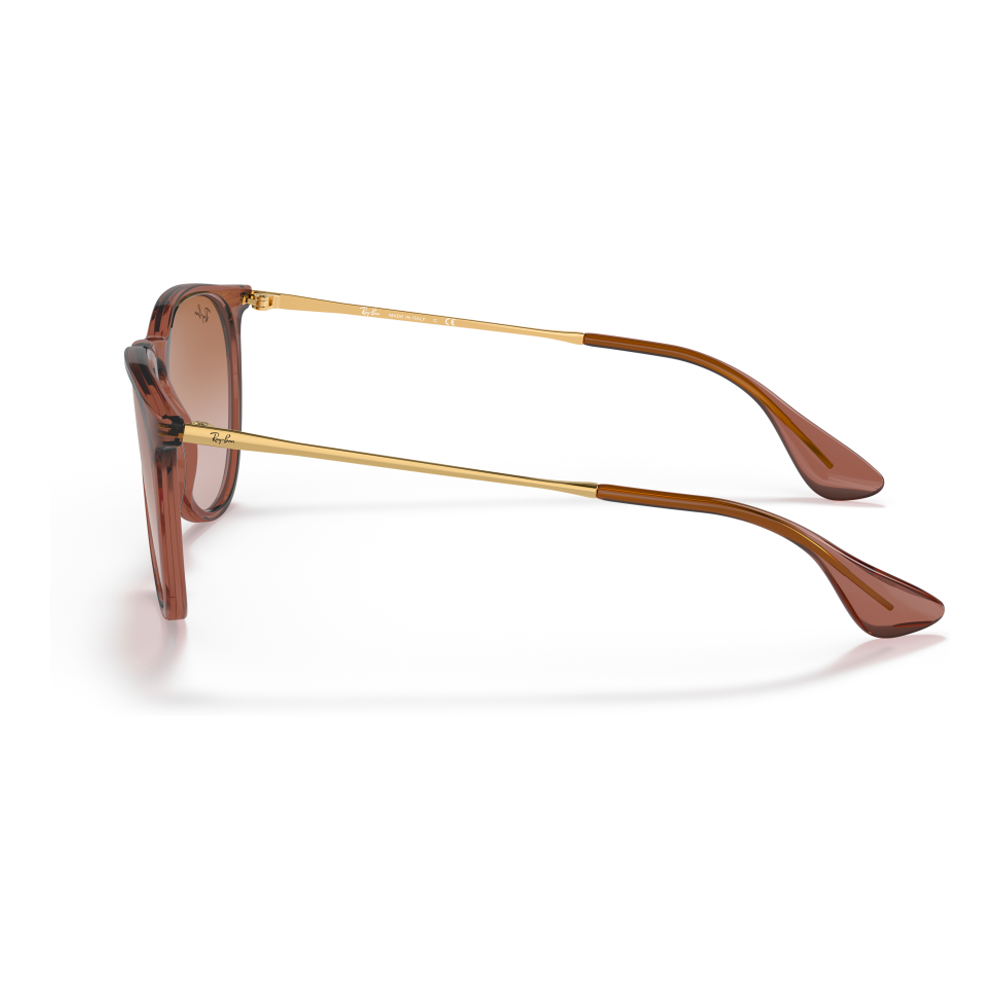 TRANSPARENT LIGHT BROWN | GRADIENT BROWN