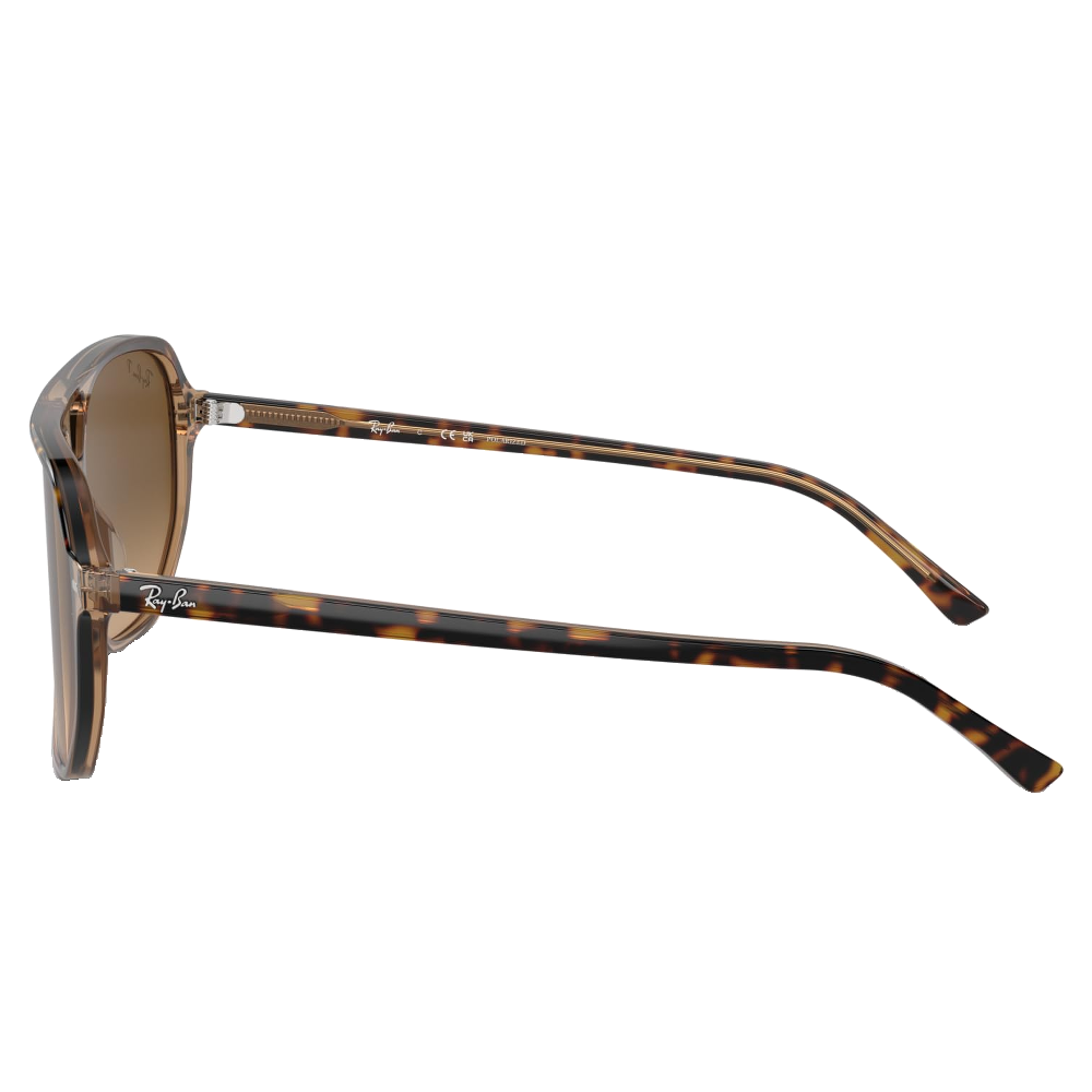 HAVANA ON TRANSPARENT BROWN | BROWN GRADIENT POLARIZED
