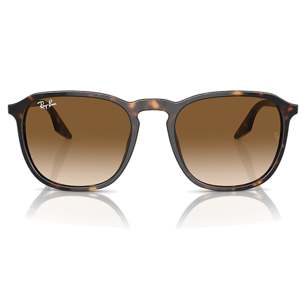 HAVANA | CLEAR GRADIENT BROWN