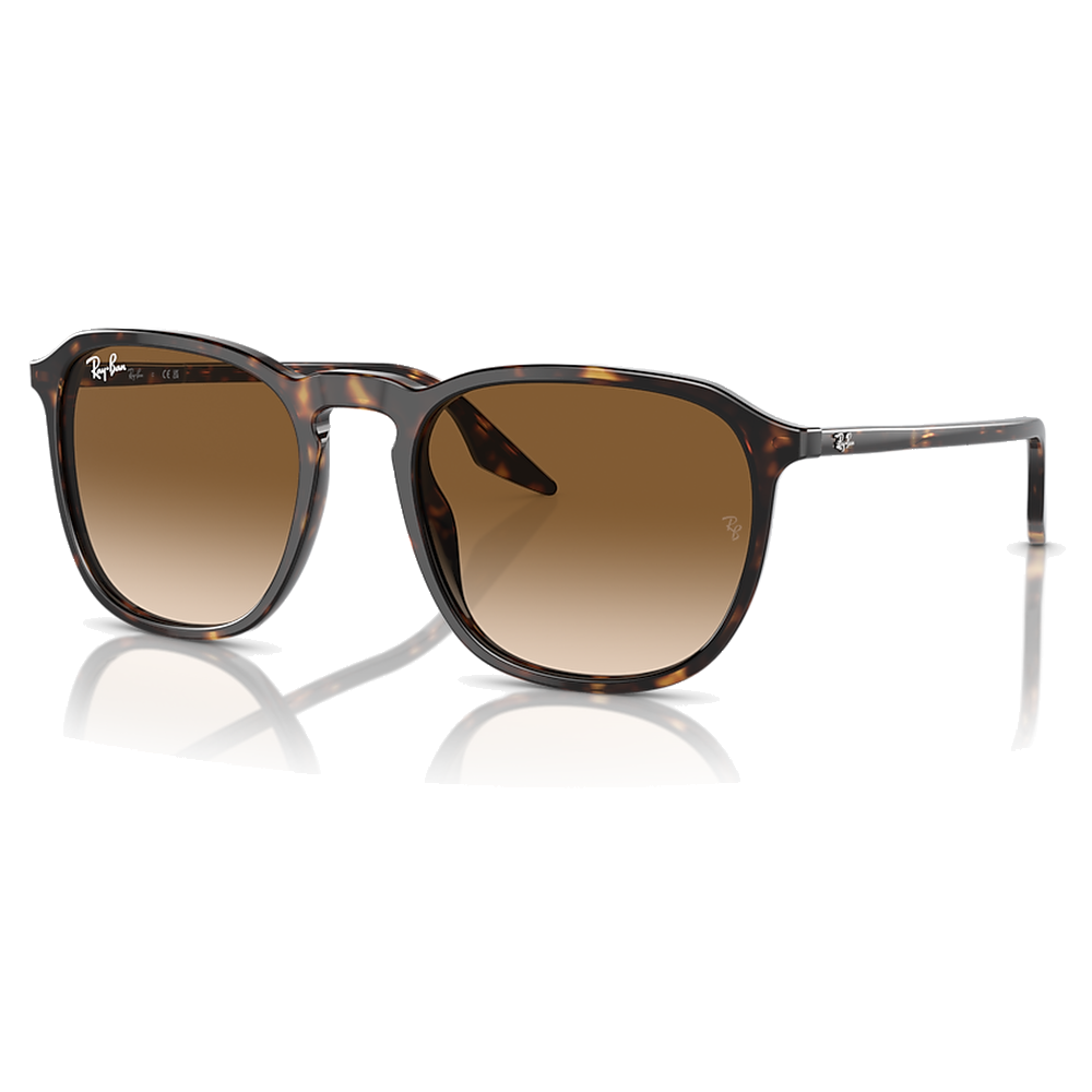 HAVANA | CLEAR GRADIENT BROWN