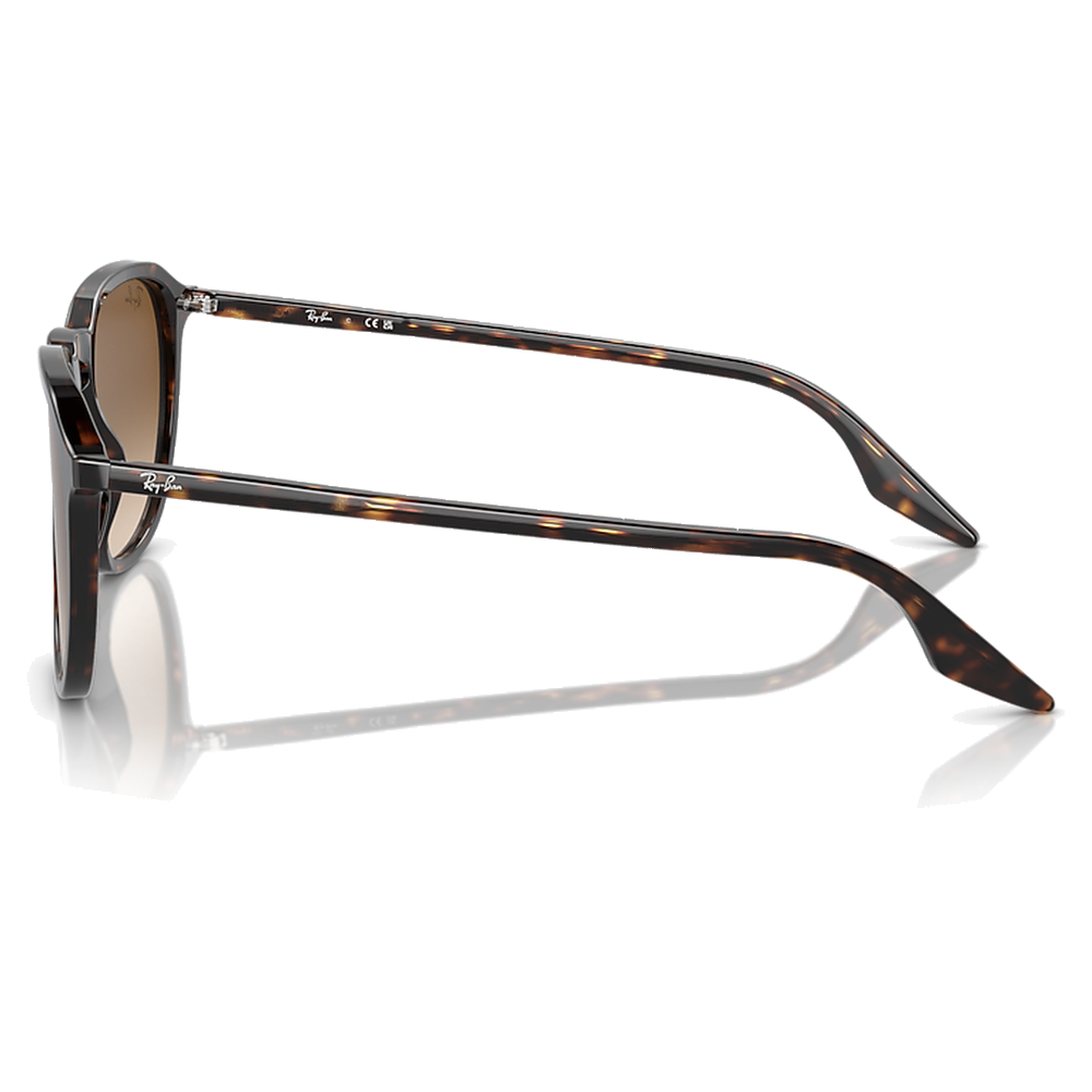 HAVANA | CLEAR GRADIENT BROWN