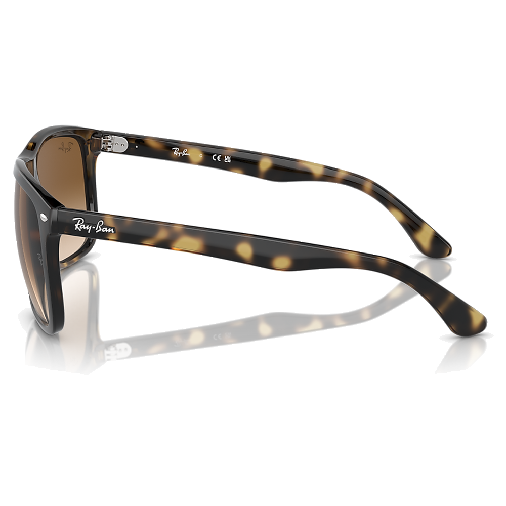 HAVANA | CLEAR GRADIENT BROWN