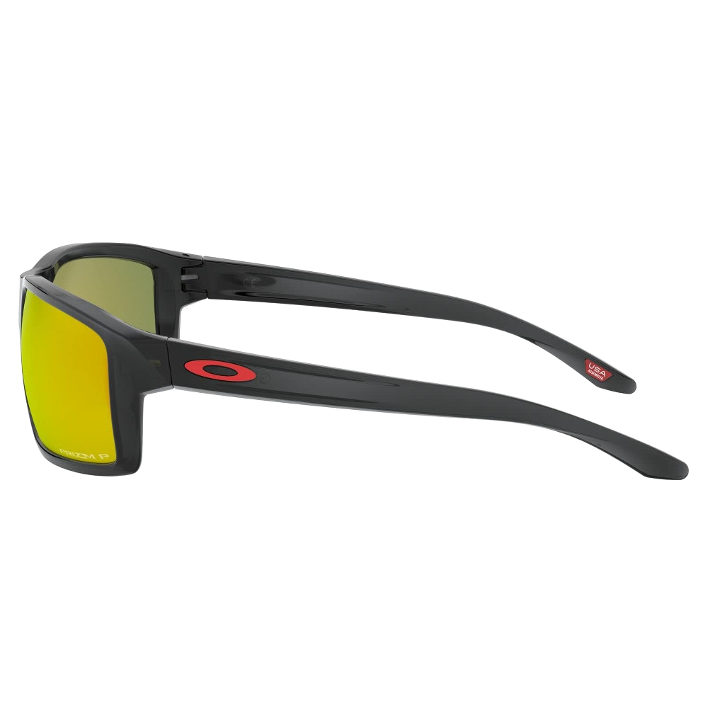BLACK INK | PRIZM RUBY POLARIZED