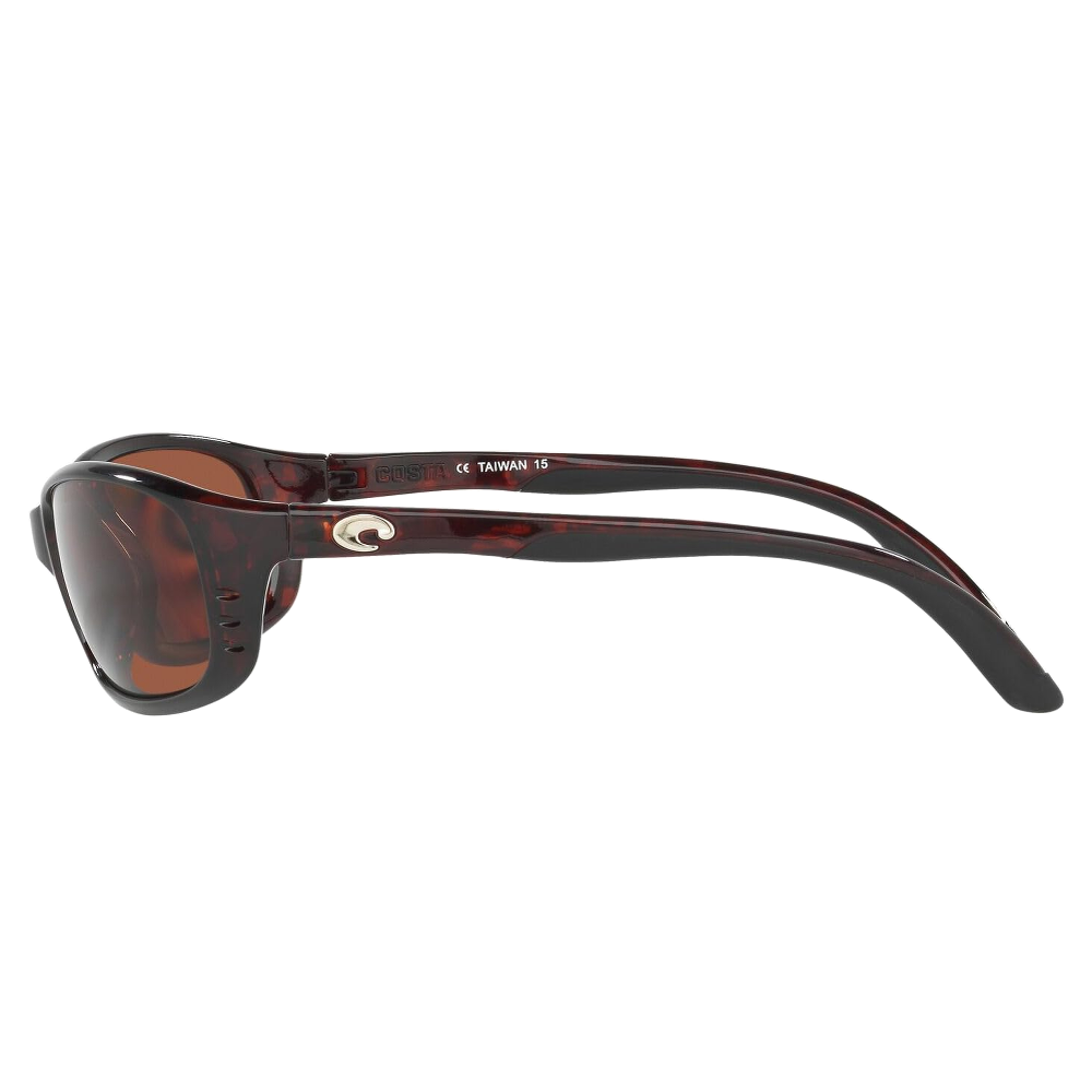 TORTOISE | COPPER